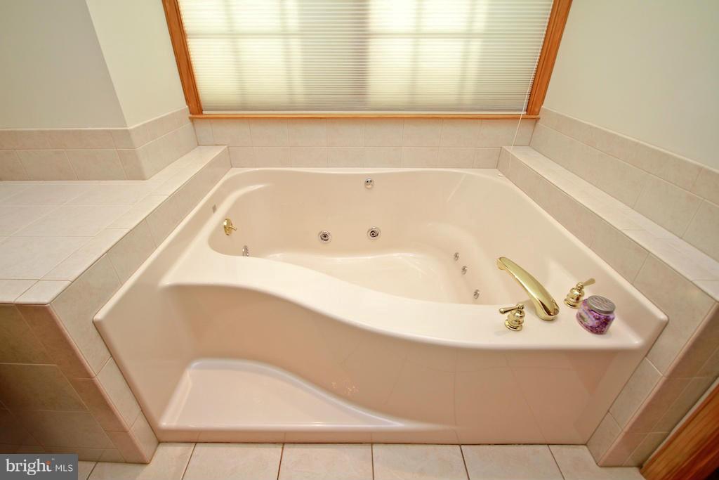 1615 Deerfield Road Darlington, MD 21034 - Photo 22 of 30 Master Bath - jet tub