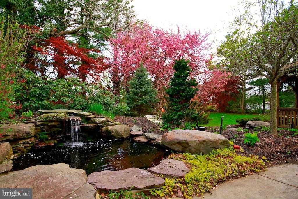 Fish Pond