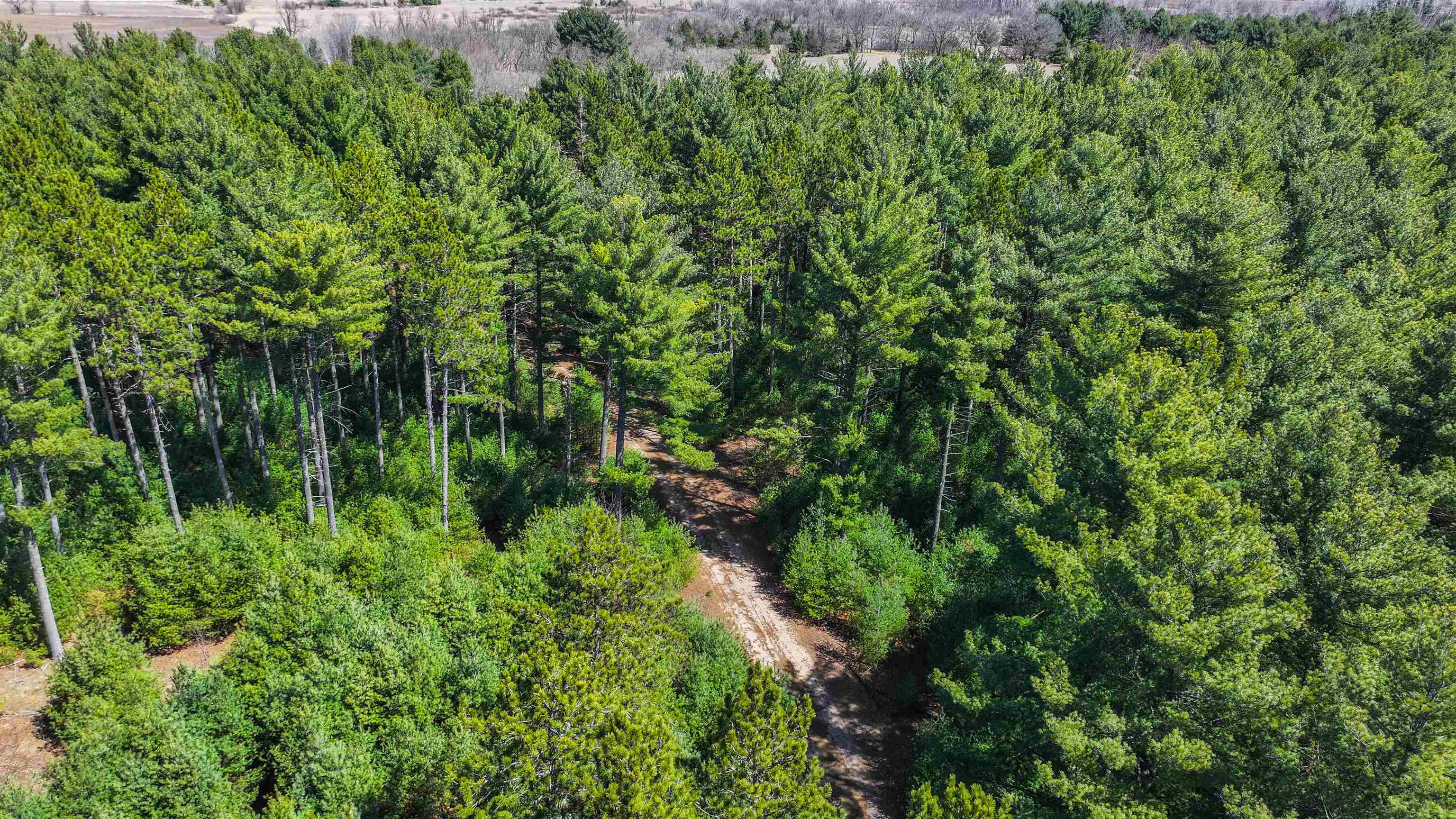 Handrich Road Waupaca, WI 54981 - Photo 20 of 23