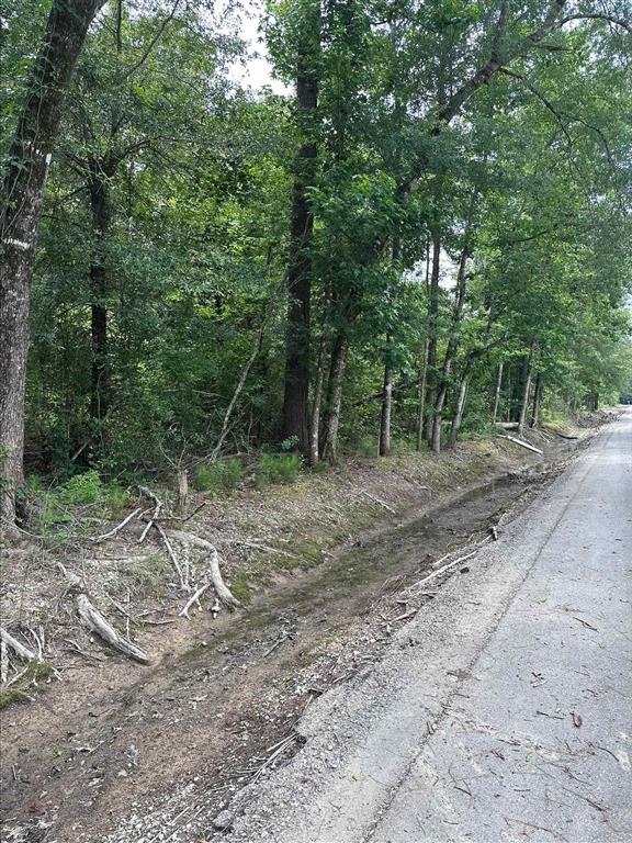 Angus Drive Ragley, LA 70657 - Photo 2 of 7