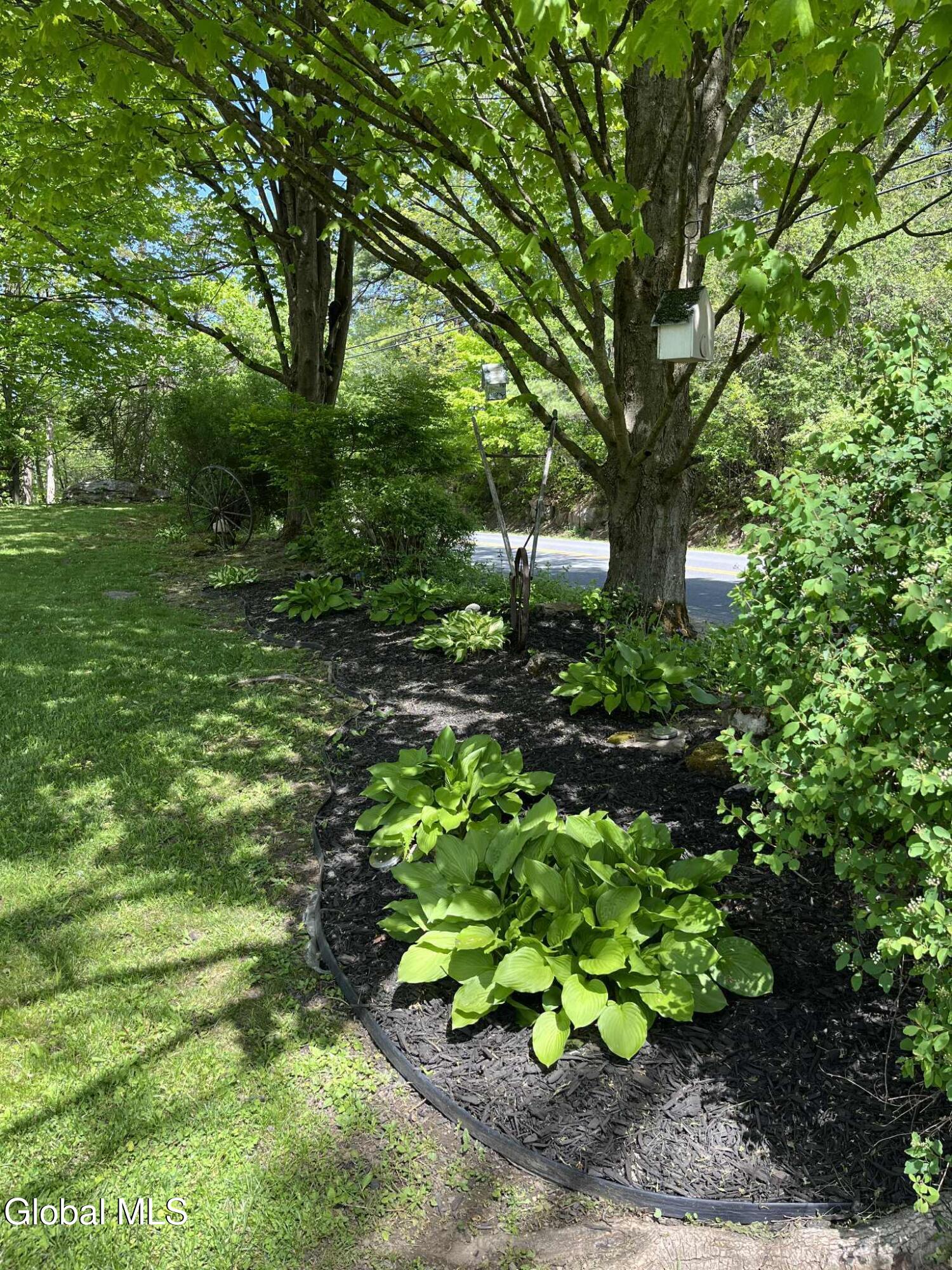 241 Dean Road Kingsbury, NY 12839 - Photo 7 of 56 Front Garden