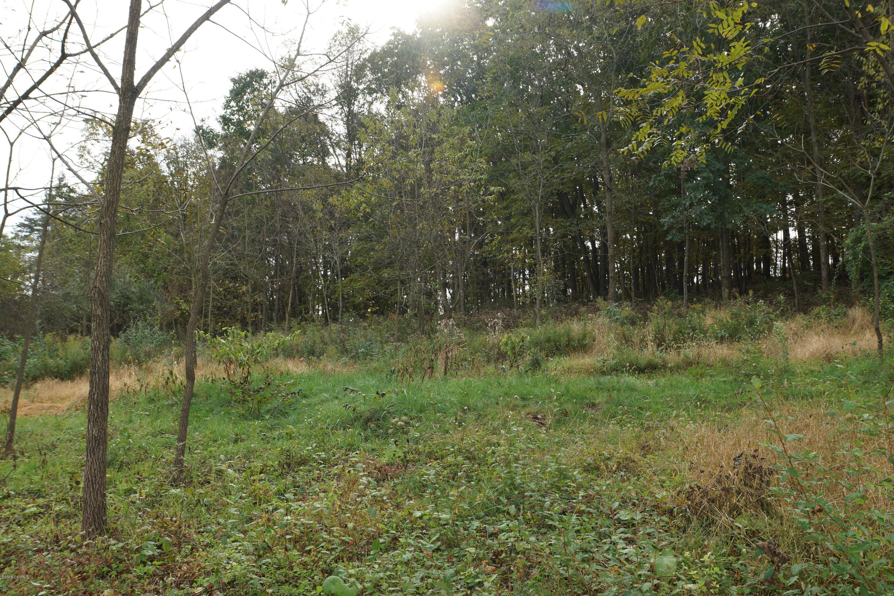 Lot 4 Milroy Road New Columbia, PA 17856 - Photo 15 of 27