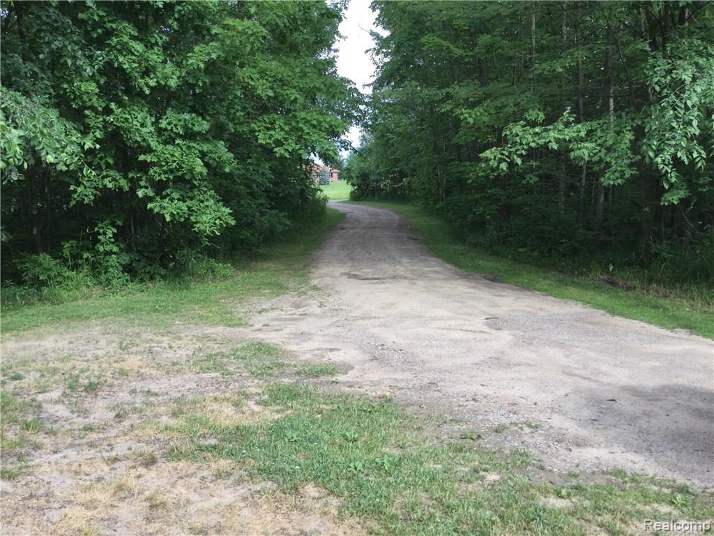 View of private secluded driveway out to road.