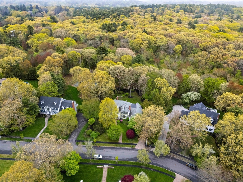 37 Old Planters Road Beverly, MA 01915 - Photo 5 of 42 a view of a bunch of flowers and trees