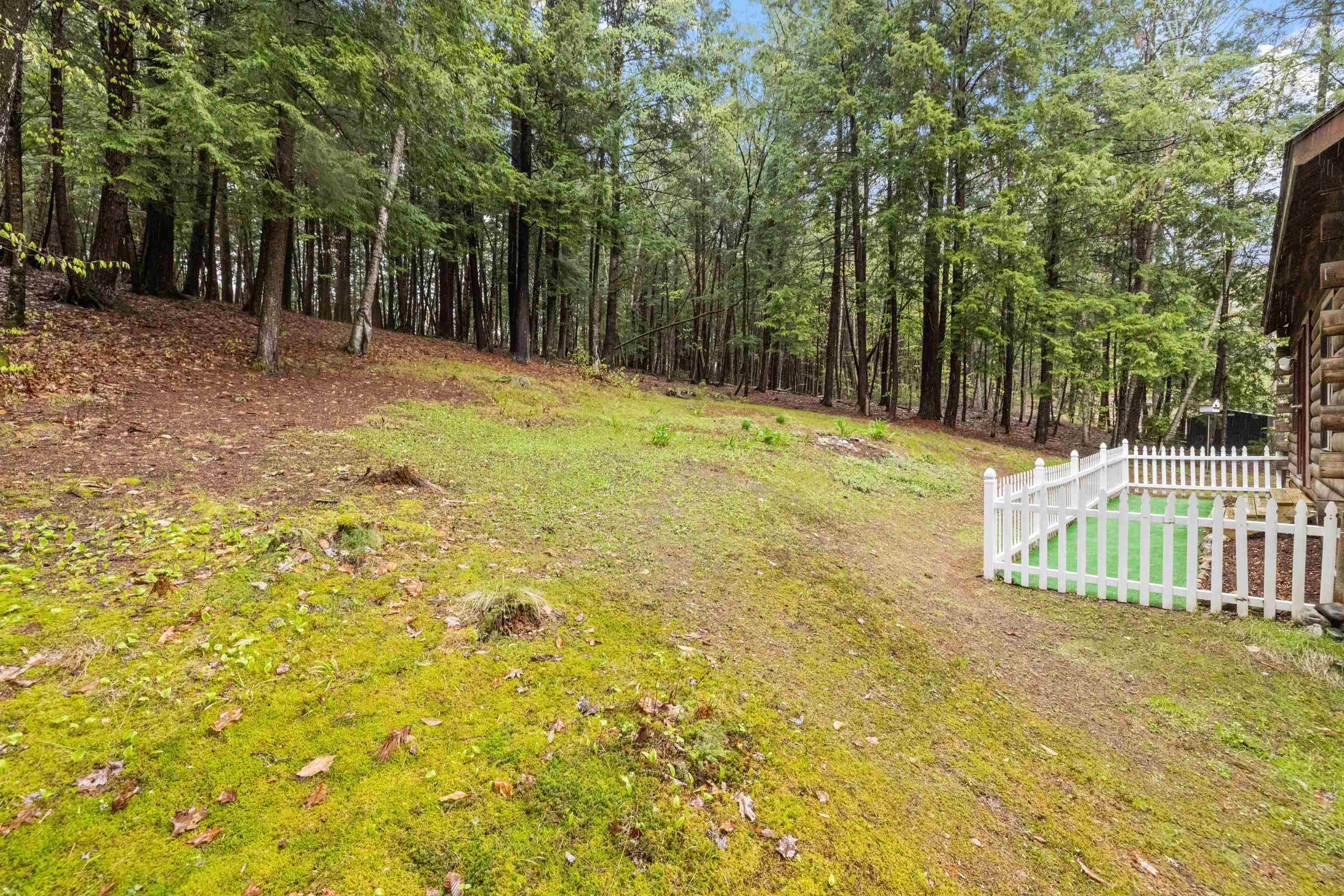 4050 River Road Bristol, NH 03222 - Photo 49 of 57