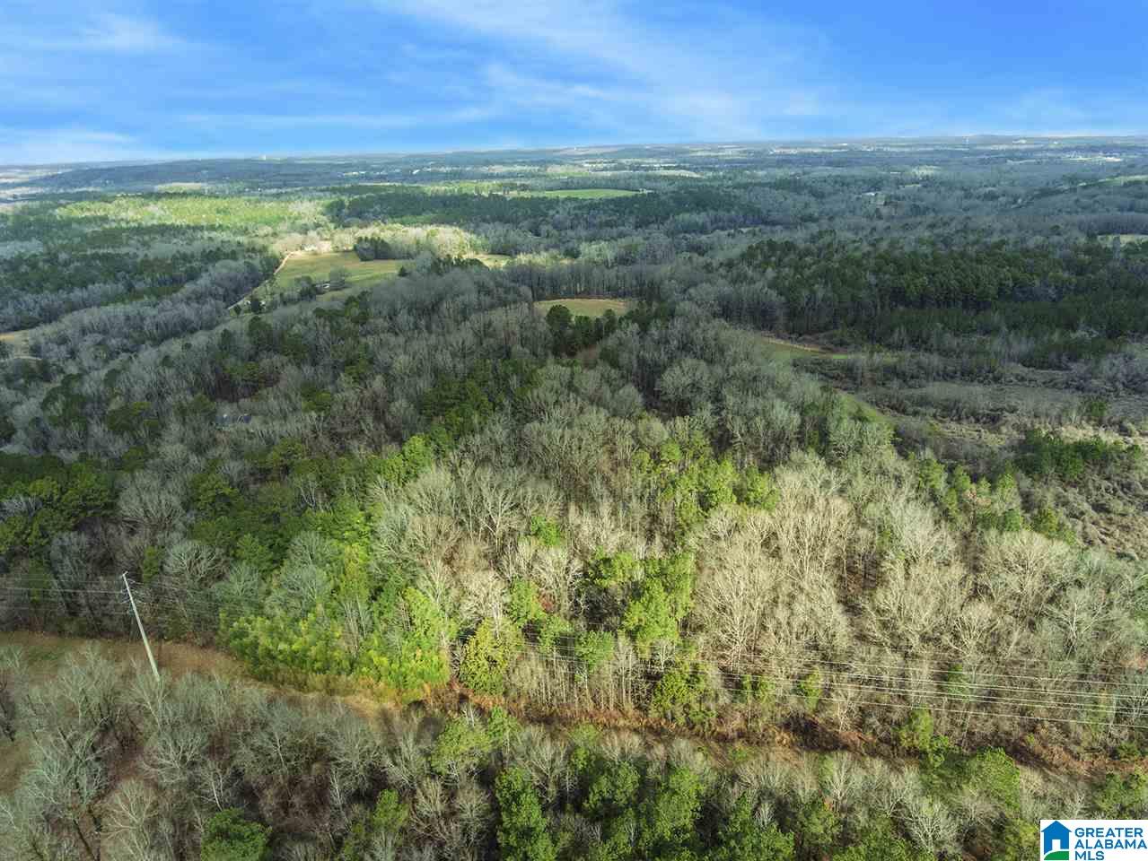 0 Spring Creek Road, Unit 30 AC Calera, AL 35040 - Photo 1 of 20