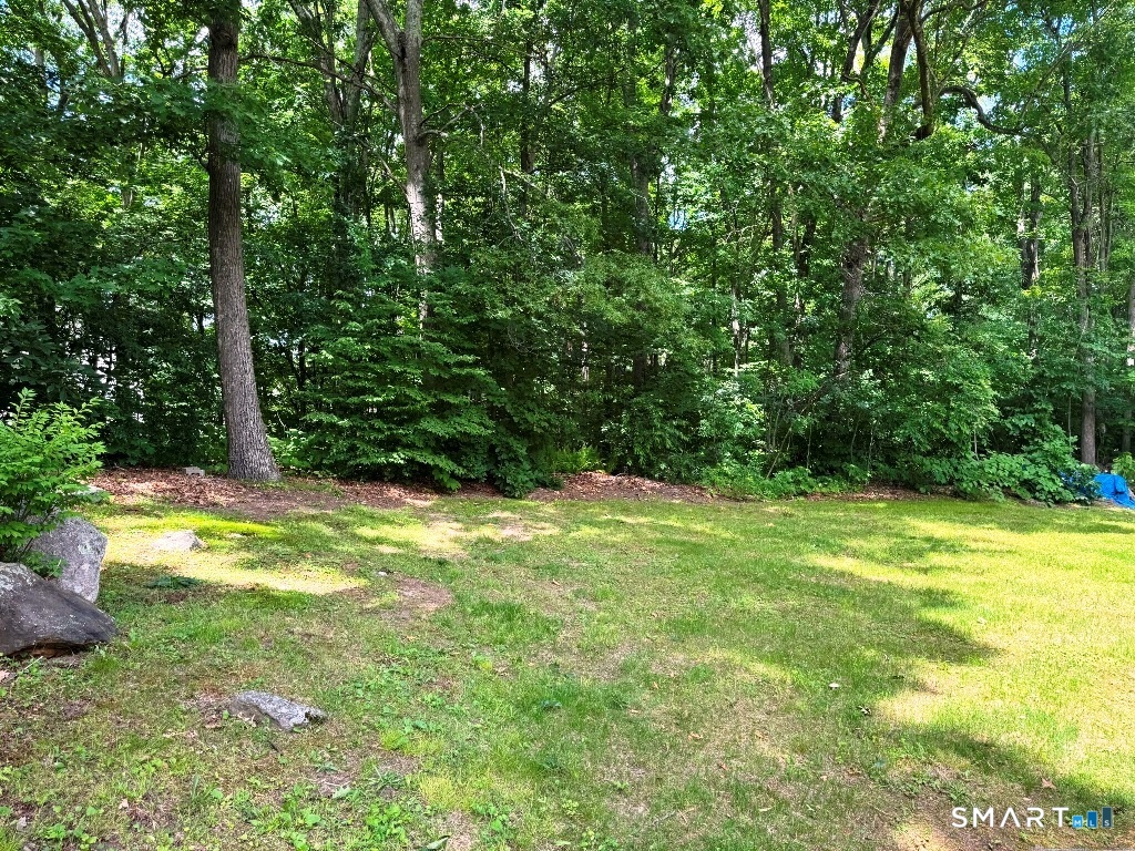 102 Potuccos Ring Road Wolcott, CT 06716 - Photo 24 of 26 Back yard