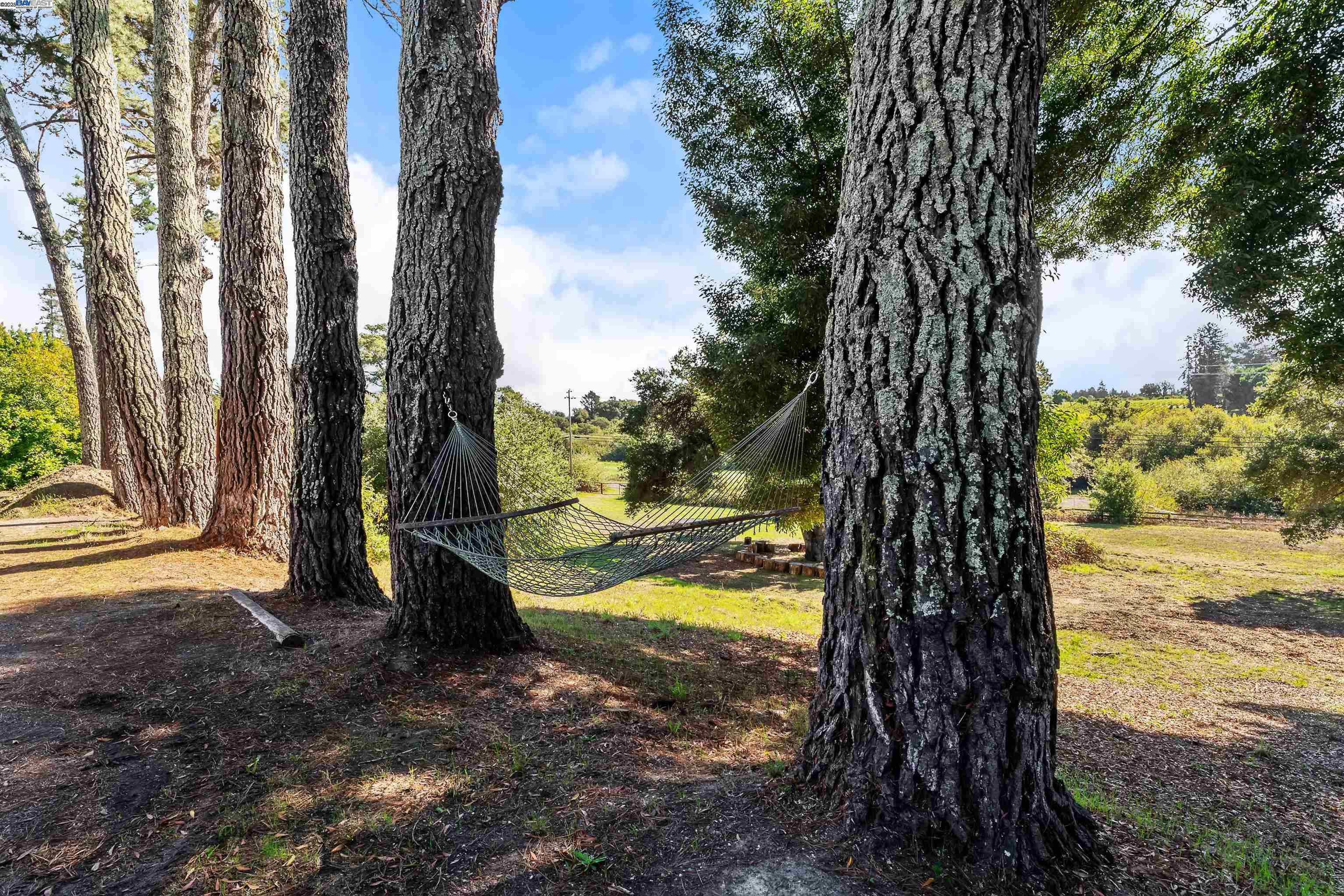 2103 Peachland Avenue Sebastopol, CA 95472 - Photo 29 of 30