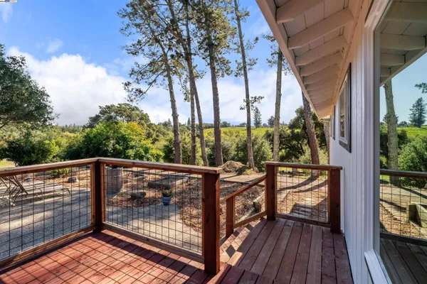 a view of a back yard of the house