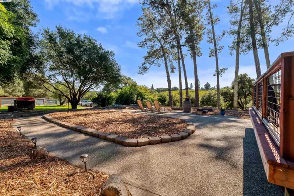 a view of a park with large trees
