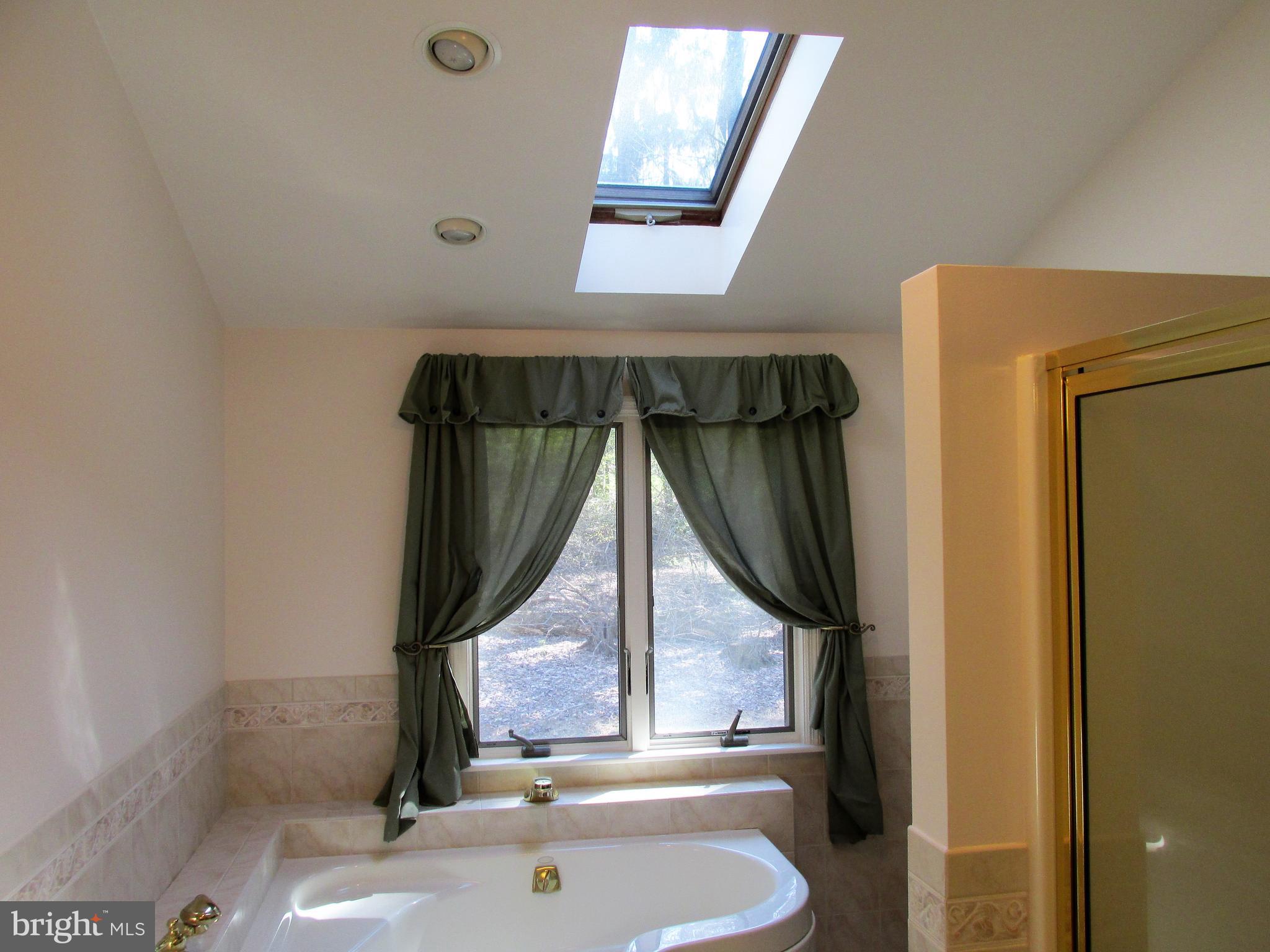 400 Arrowhead Trail Reading, PA 19608 - Photo 15 of 28 Master Bathroom