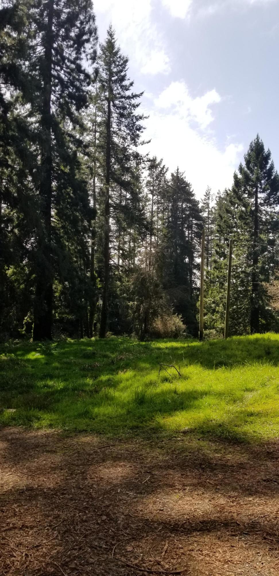 451 Grotzman Road Arcata, CA 95521 - Photo 16 of 18 2020-03-13 13.33.48