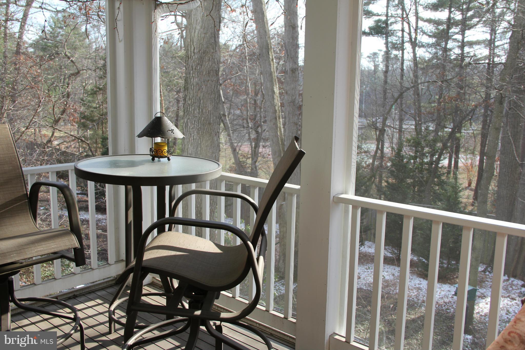 9011 Edgepark Road Vienna, VA 22182 - Photo 17 of 20 3 season porch with skylights