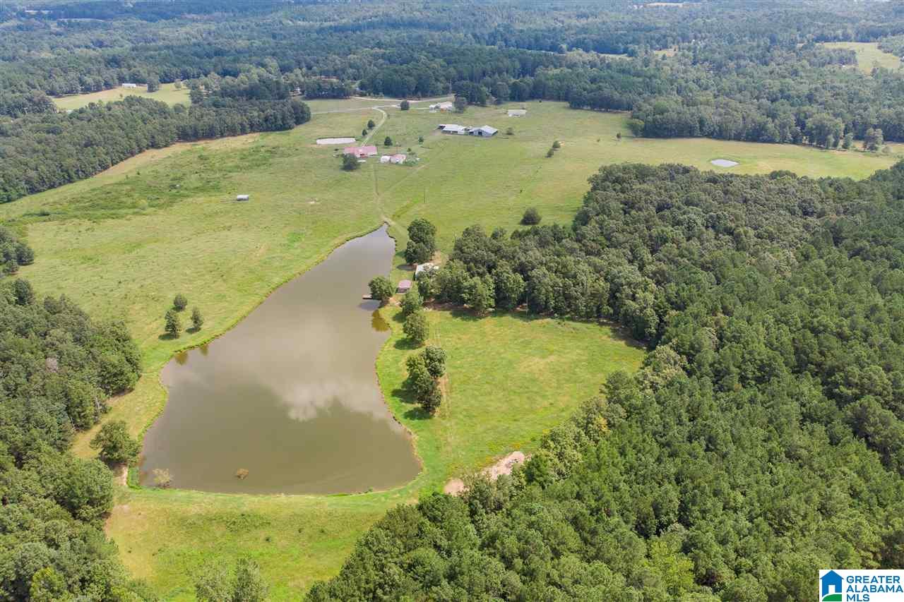 654 Mitchellville Road Ohatchee, AL 36271 - Photo 38 of 41