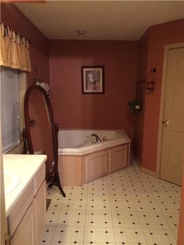 5729 Hopewell Road Springfield, TN 37172 - Photo 8 of 12 a bathroom with a sink a bathtub and a shower