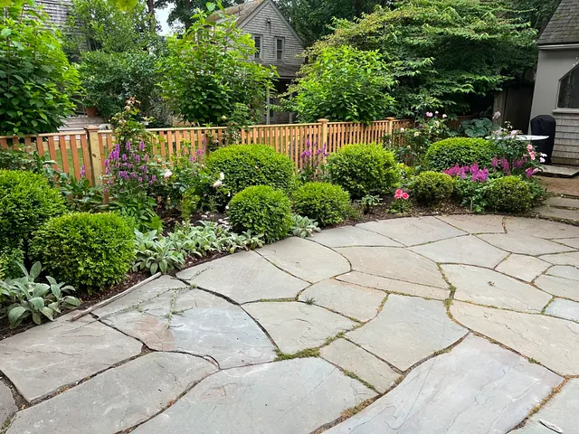 a view of a garden of flowers