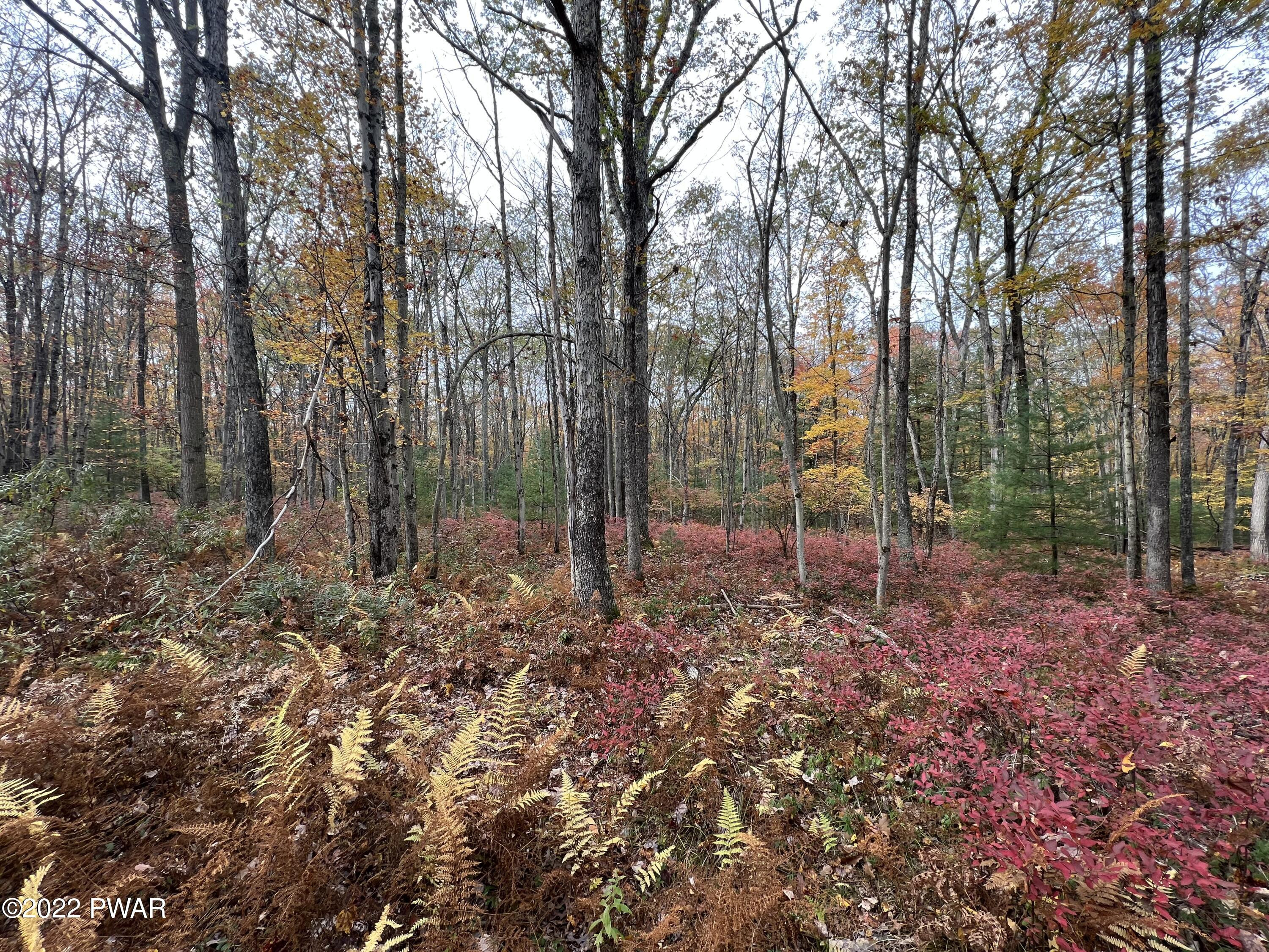 Lot 8 Whispering Oaks Road Greeley, PA 18425 - Photo 3 of 5
