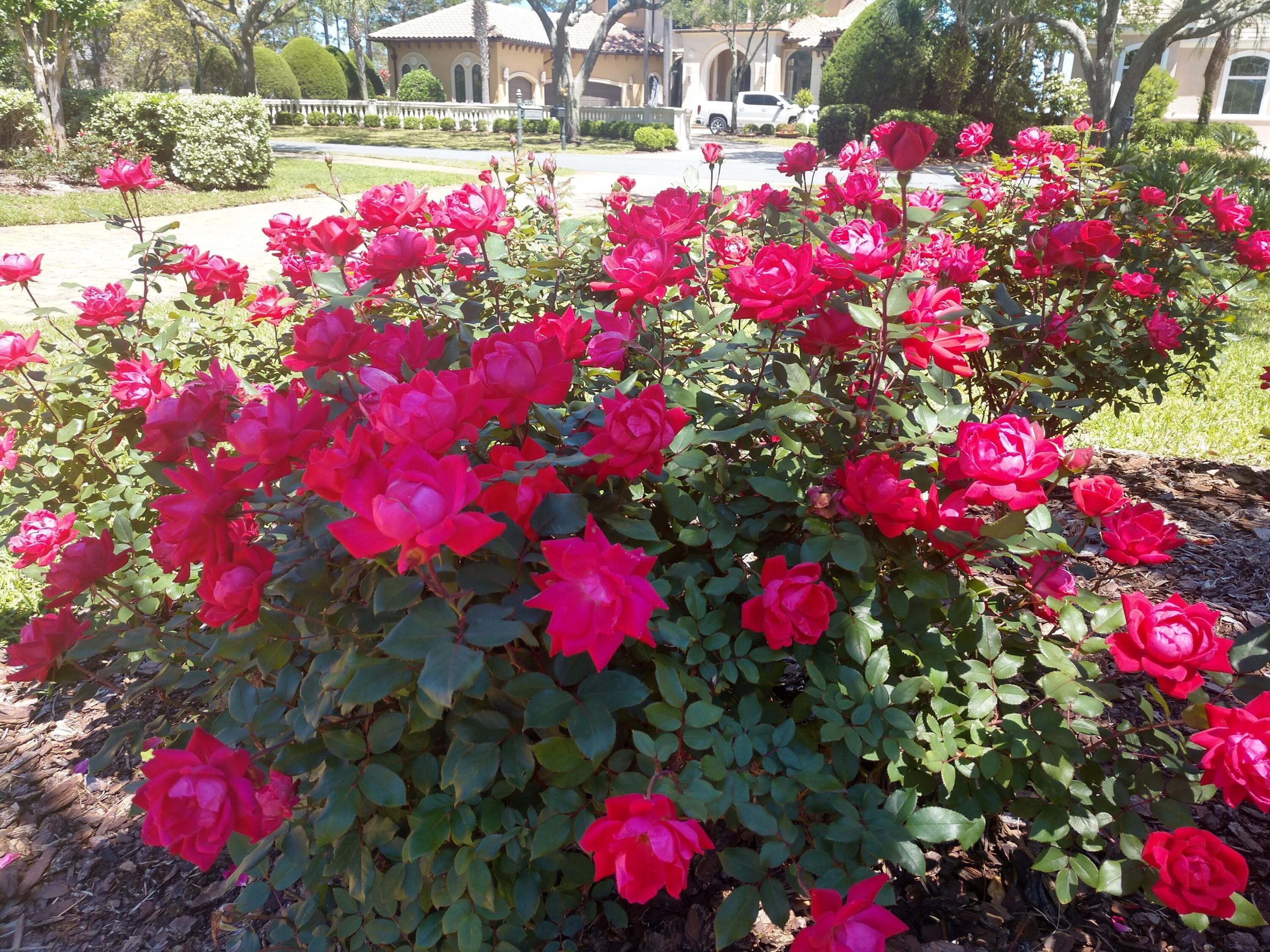473 Captains Circle Destin, FL 32541 - Photo 5 of 64 473 Captains Circle