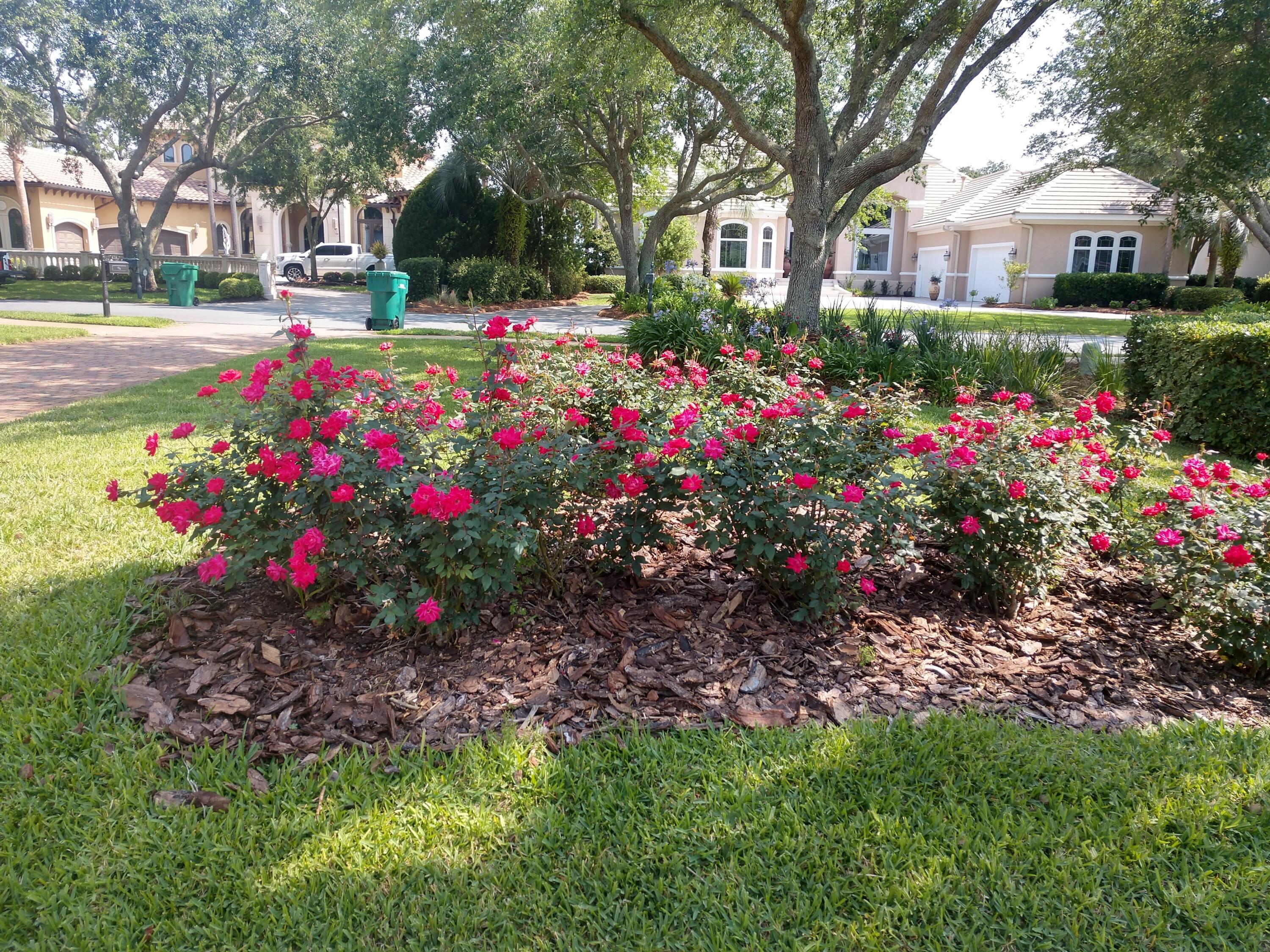 473 Captains Circle Destin, FL 32541 - Photo 6 of 64 a view of a garden with flowers and trees