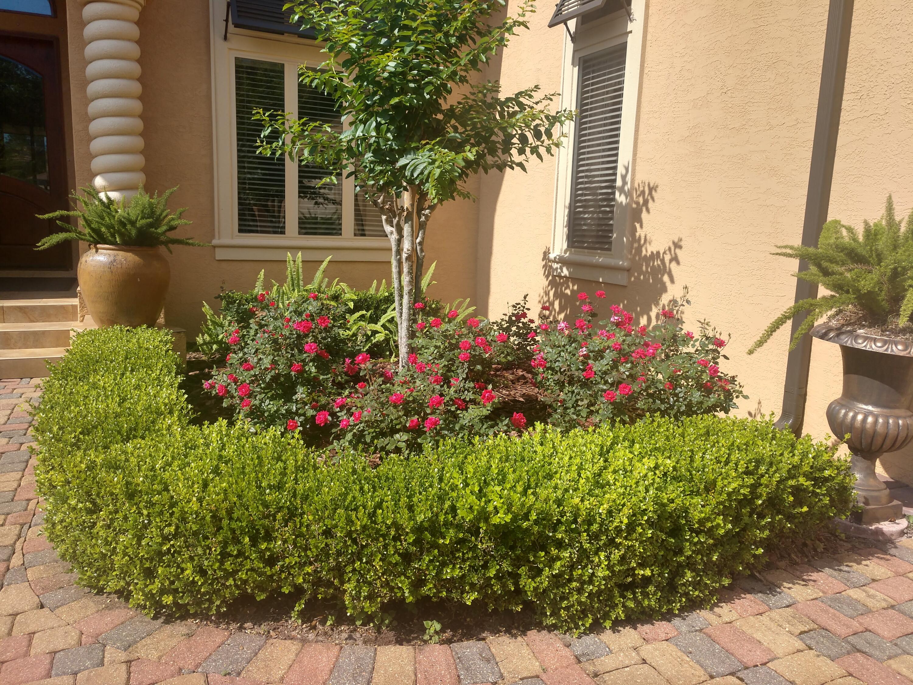 473 Captains Circle Destin, FL 32541 - Photo 10 of 64 a view of a potted plant sitting in front of a house