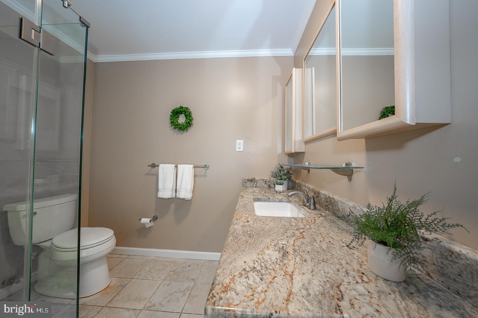 746 Mancill Road Wayne, PA 19087 - Photo 21 of 46 Primary bedroom full bath