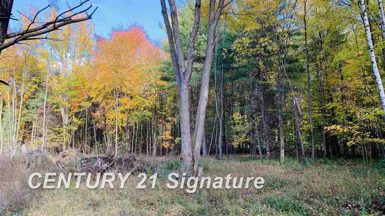 East Townline Road Bridgeport, MI 48722 - Photo 5 of 8