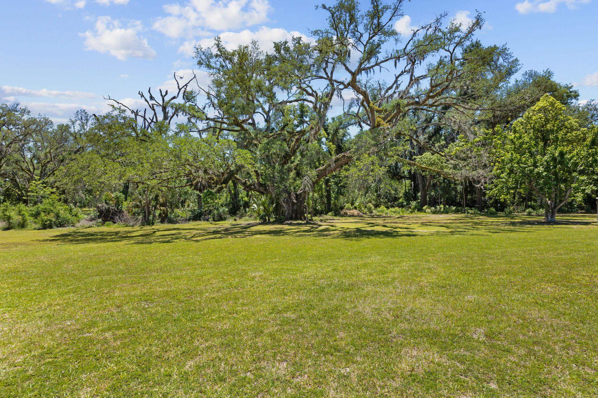 1997 Highway 221 Perry, FL 32347 - Photo 36 of 67