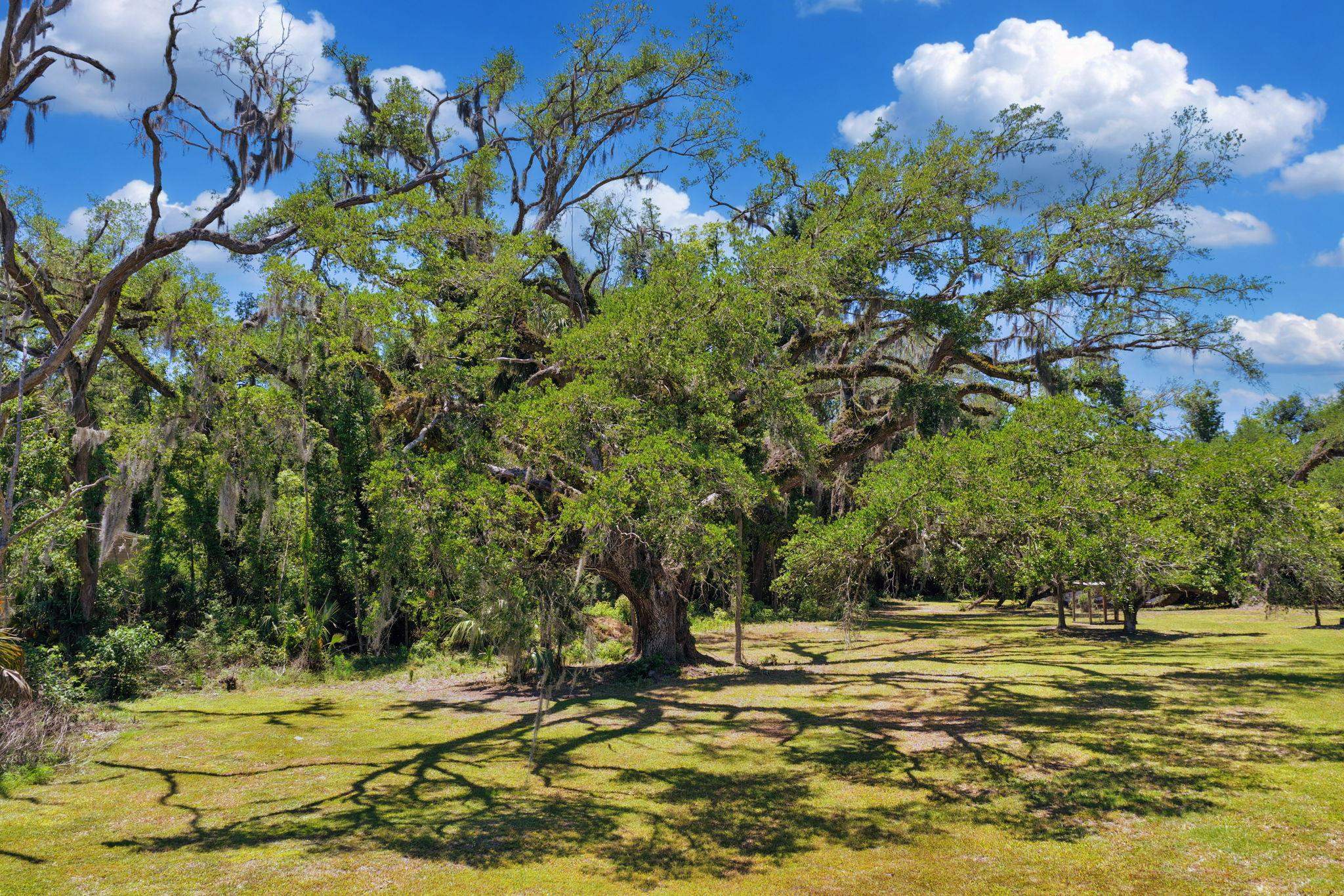1997 Highway 221 Perry, FL 32347 - Photo 40 of 67
