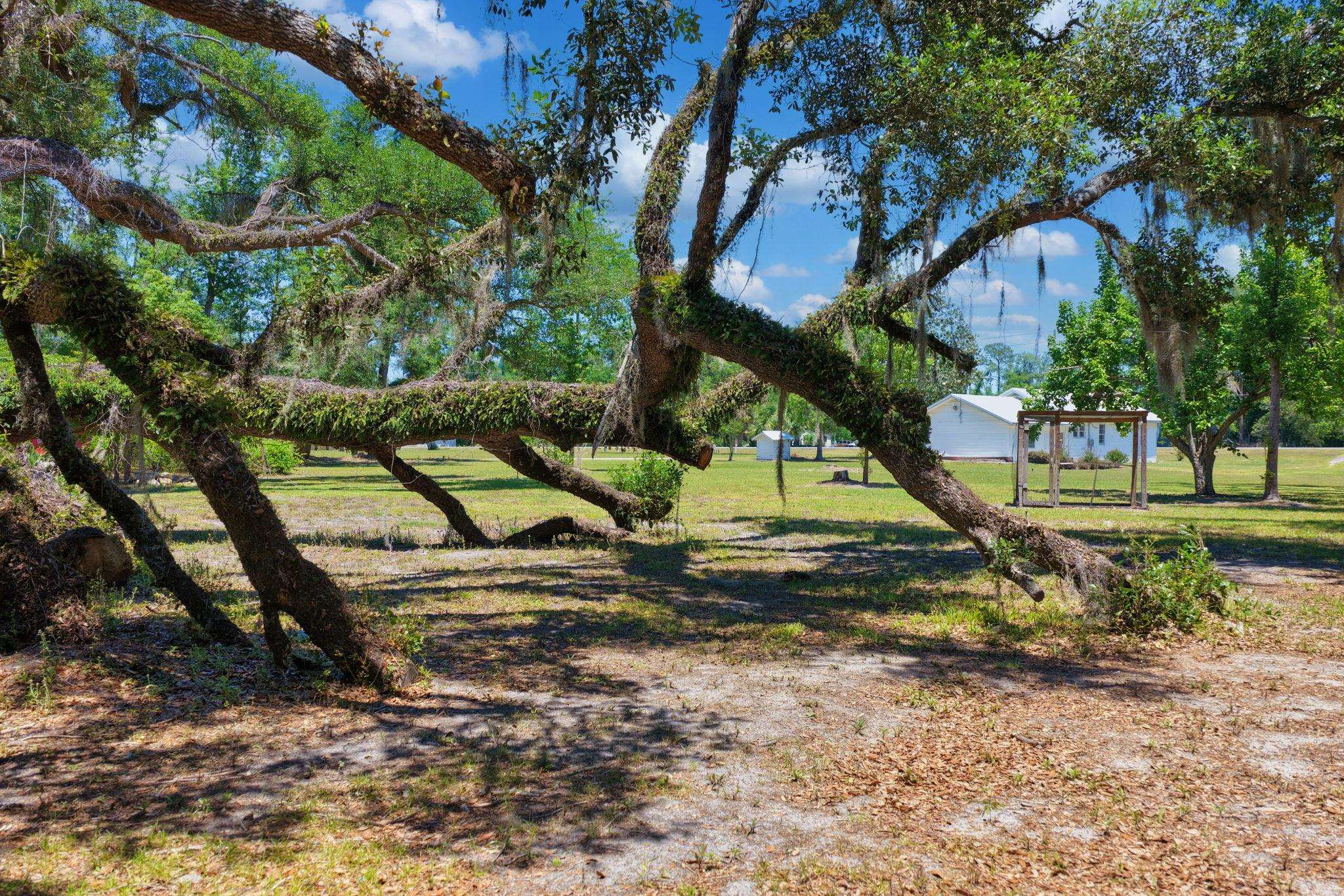 1997 Highway 221 Perry, FL 32347 - Photo 46 of 67