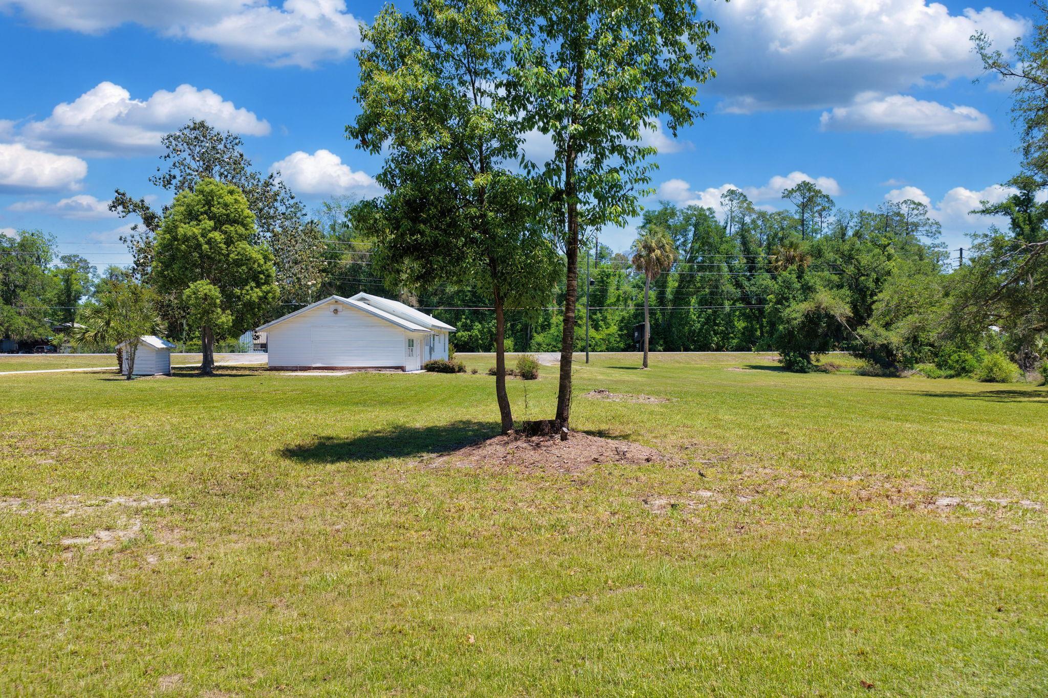 1997 Highway 221 Perry, FL 32347 - Photo 66 of 67