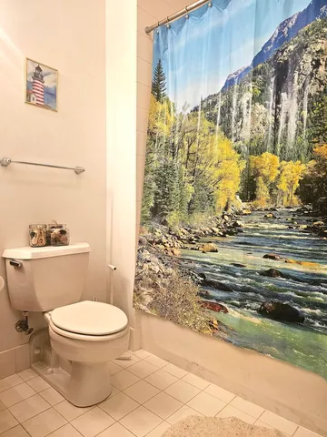 a bathroom with a toilet and a shower curtain
