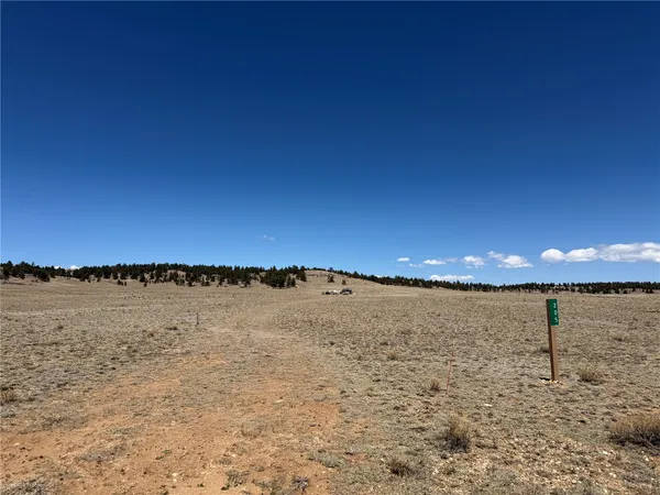 $55,000 | 205 Cheyenne Trail, Hartsel, CO 80449