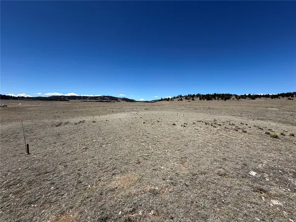 $55,000 | 205 Cheyenne Trail, Hartsel, CO 80449