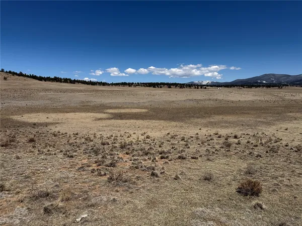 $55,000 | 205 Cheyenne Trail, Hartsel, CO 80449