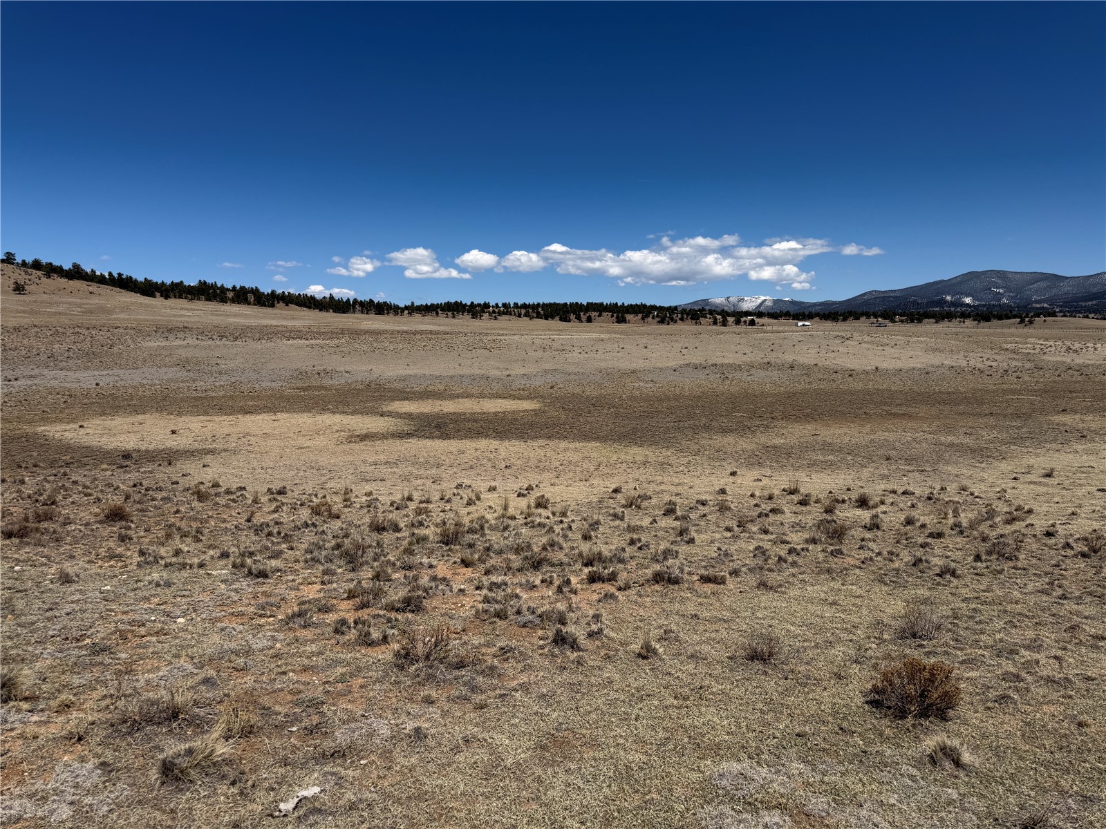 205 Cheyenne Trail Hartsel, CO 80449 - Photo 16 of 20
