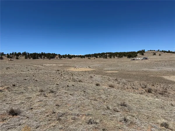 $55,000 | 205 Cheyenne Trail, Hartsel, CO 80449