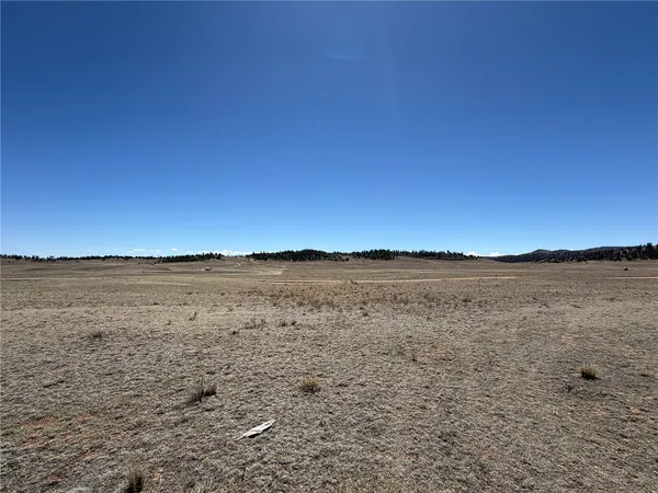 $55,000 | 205 Cheyenne Trail, Hartsel, CO 80449