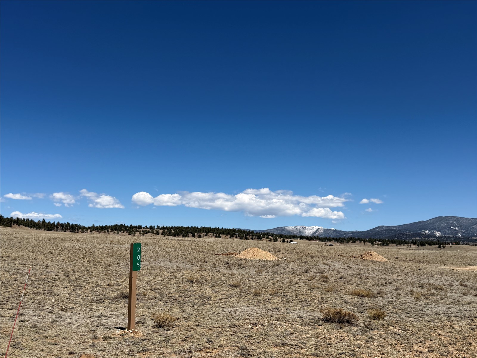 205 Cheyenne Trail Hartsel, CO 80449 - Photo 2 of 20