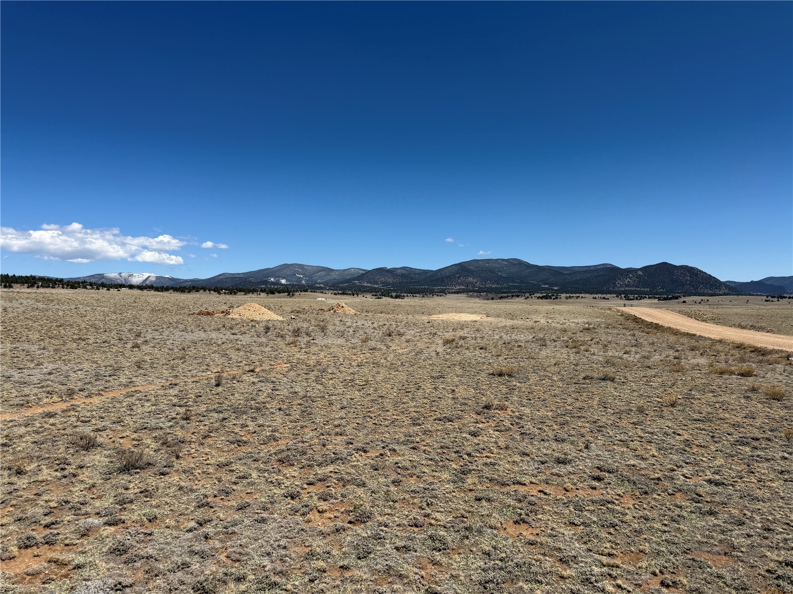 205 Cheyenne Trail Hartsel, CO 80449 - Photo 5 of 20