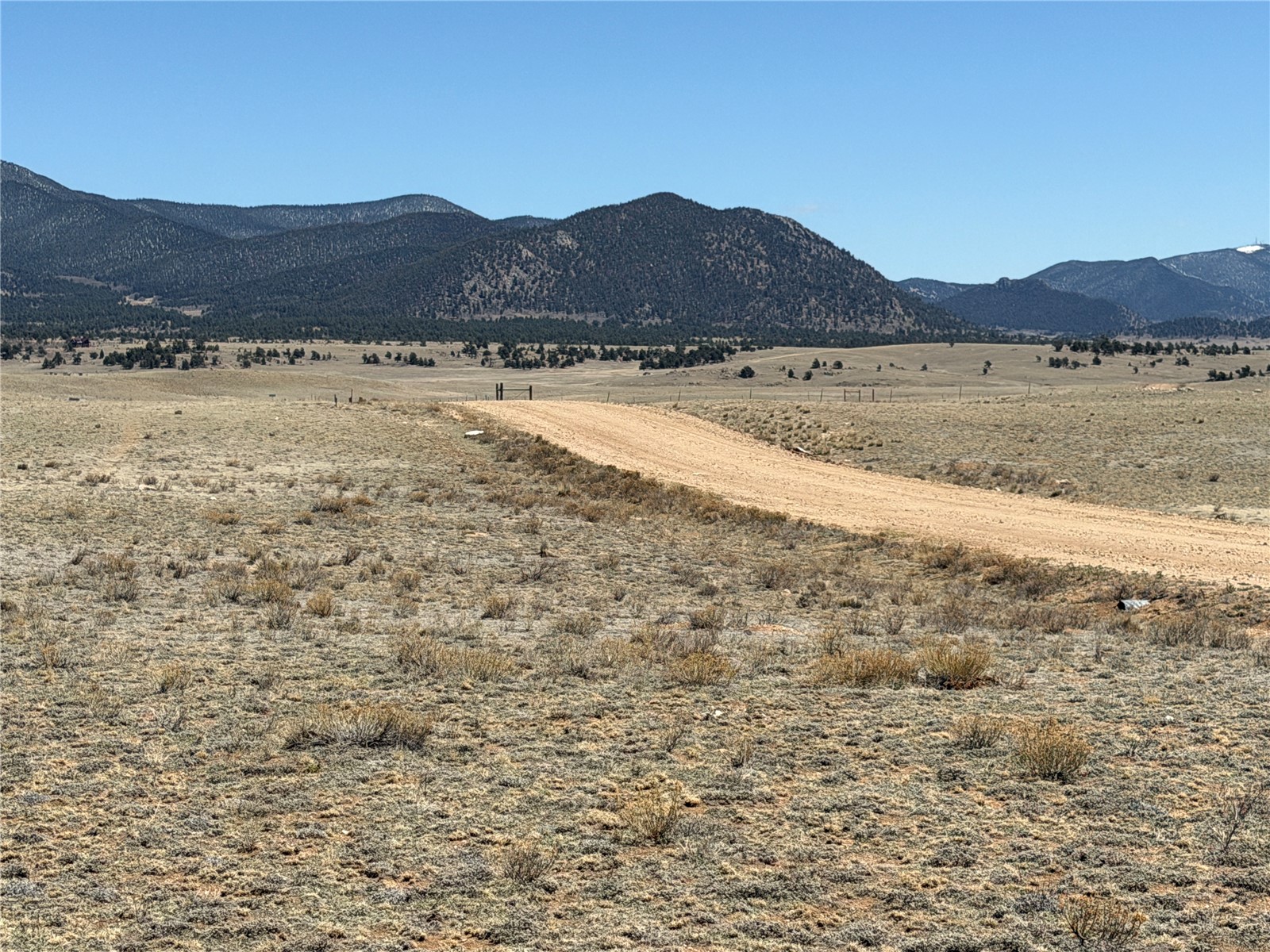 205 Cheyenne Trail Hartsel, CO 80449 - Photo 6 of 20