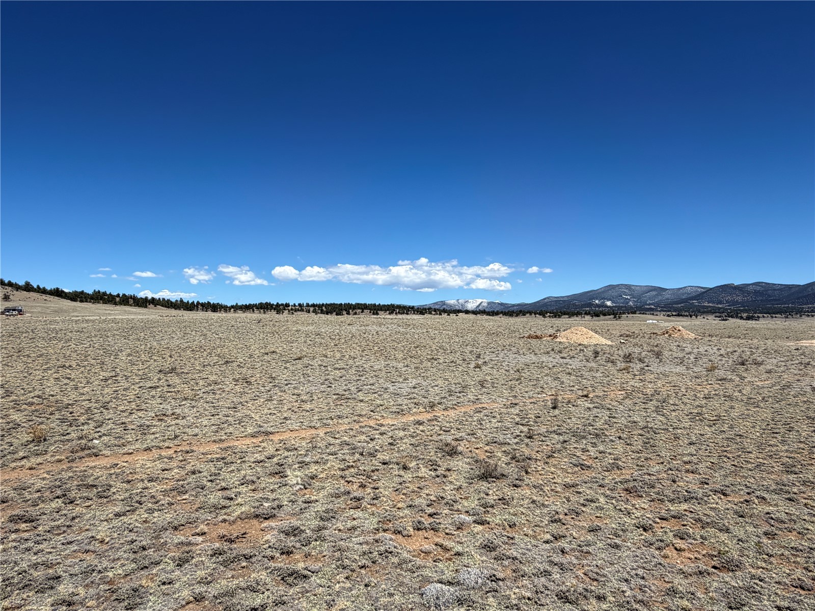 205 Cheyenne Trail Hartsel, CO 80449 - Photo 7 of 20