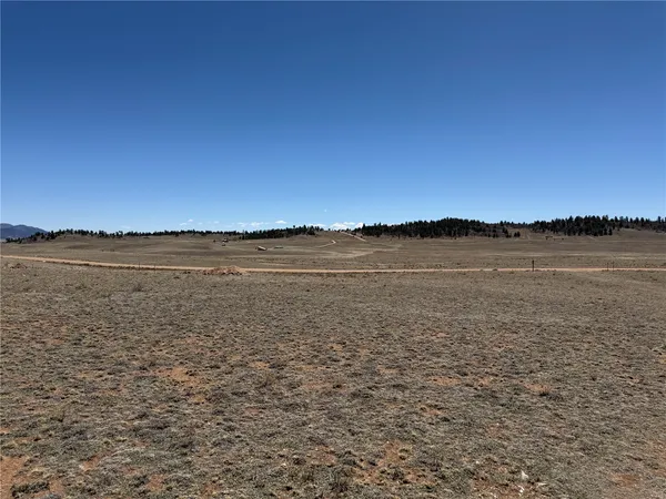 $55,000 | 205 Cheyenne Trail, Hartsel, CO 80449