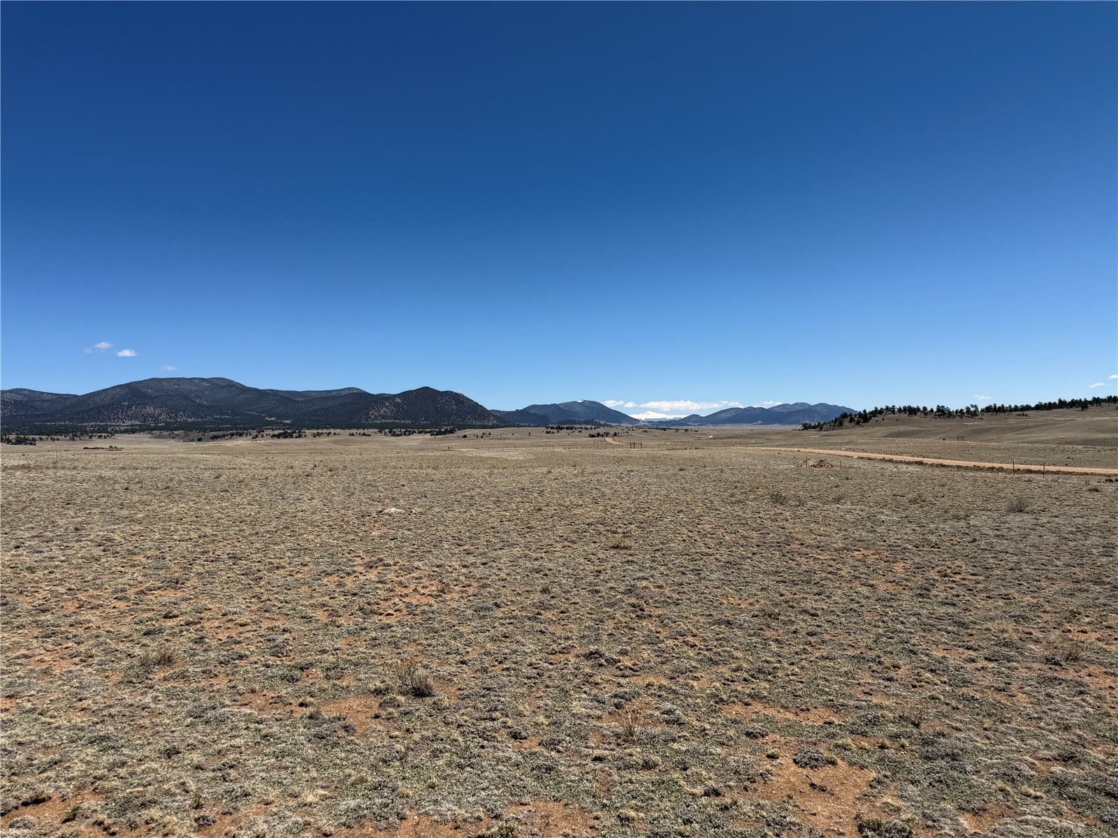 205 Cheyenne Trail Hartsel, CO 80449 - Photo 9 of 20