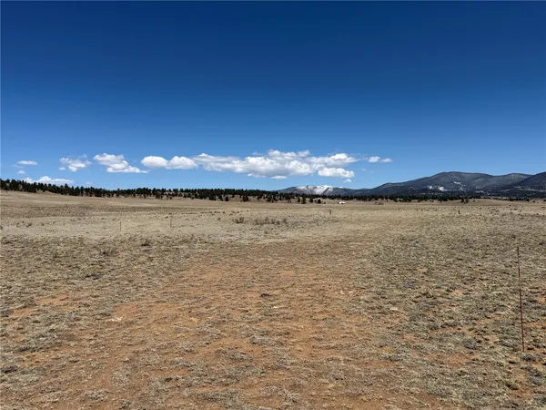 $55,000 | 205 Cheyenne Trail, Hartsel, CO 80449