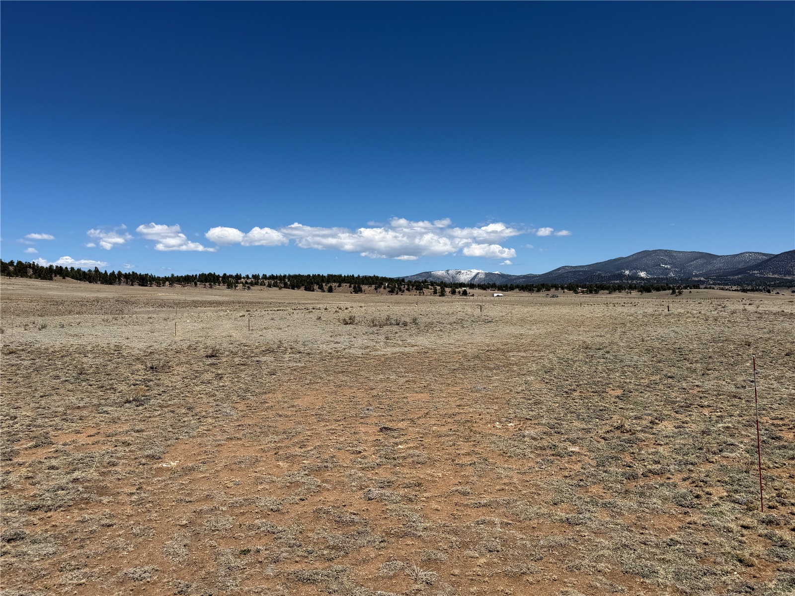 205 Cheyenne Trail Hartsel, CO 80449 - Photo 10 of 20