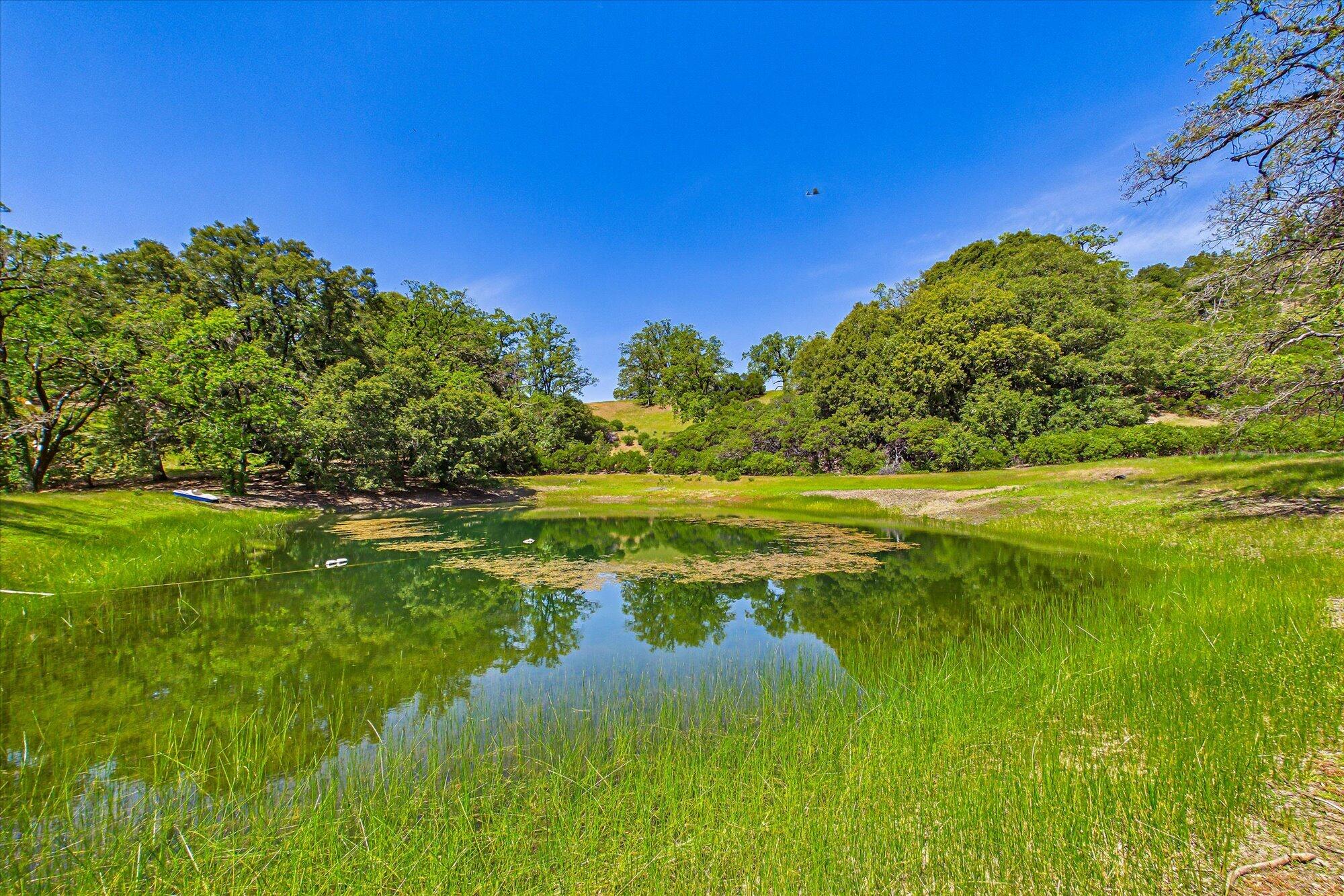 3450 Laytonville Dos Rios Road Laytonville, CA 95454 - Photo 79 of 98