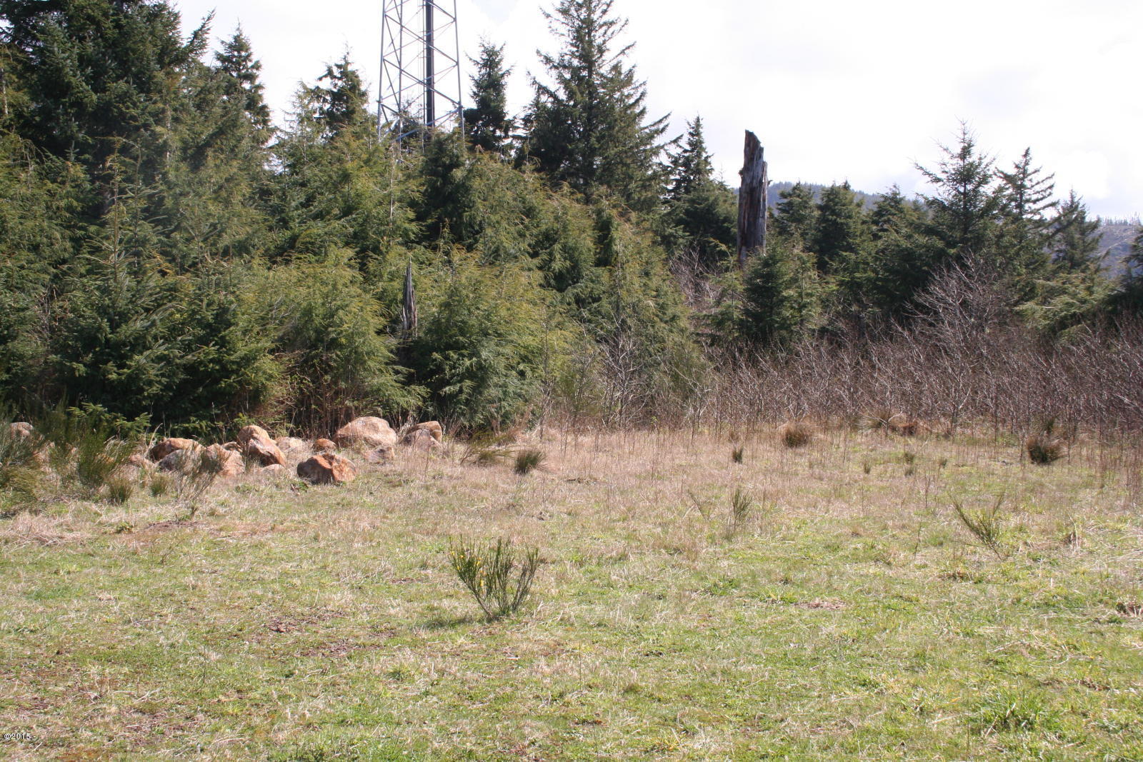 Lot 2301 Horizon Hill Road Yachats, OR 97498 - Photo 3 of 3 Horizon Hill Lot.jpg