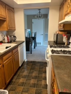 1750 Fayette Walk, Unit F Hoffman Estates, IL 60169 - Photo 12 of 21