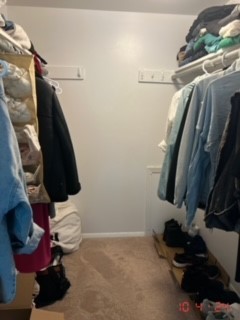 1750 Fayette Walk, Unit F Hoffman Estates, IL 60169 - Photo 18 of 21