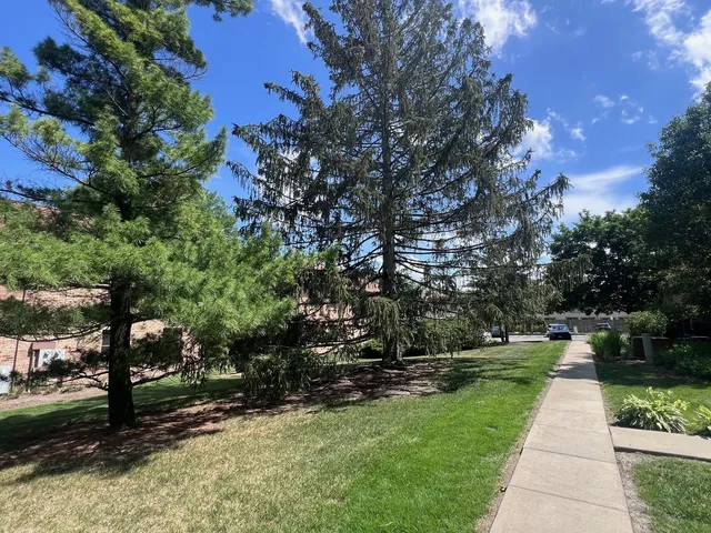 $1,550 | 1750 Fayette Walk, Unit F, Hoffman Estates, IL 60169